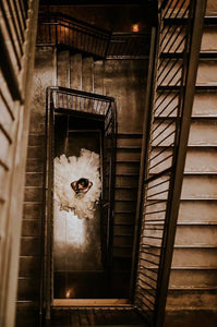 Photog Life Featured Photographers ~ 3/3/2020