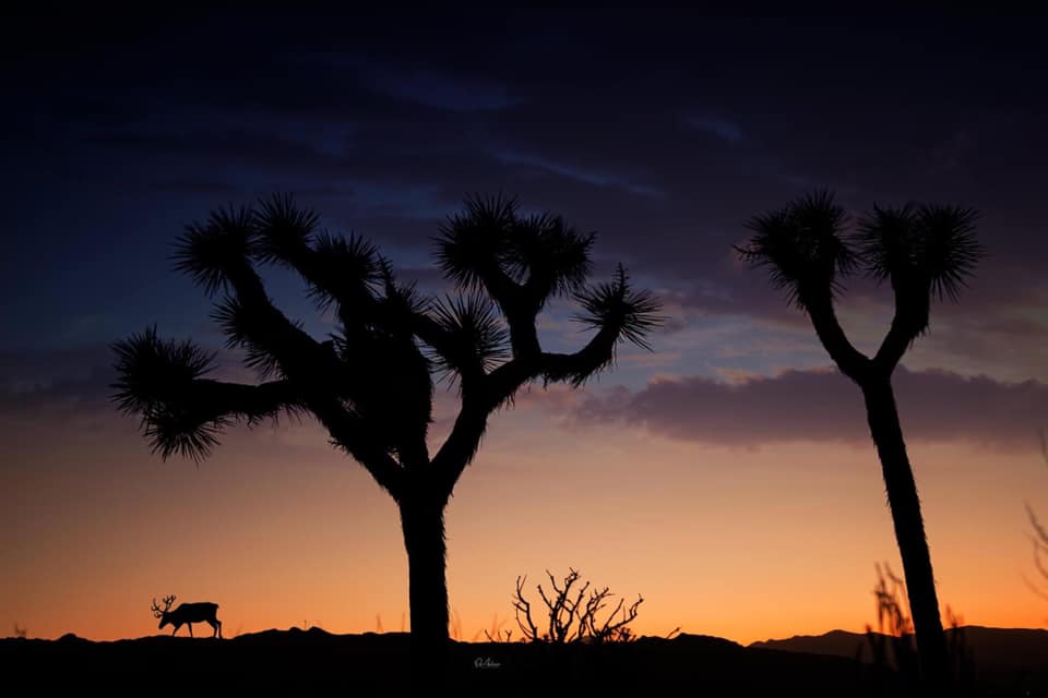 Photog Life Featured Photographers ~ 9/15/2020
