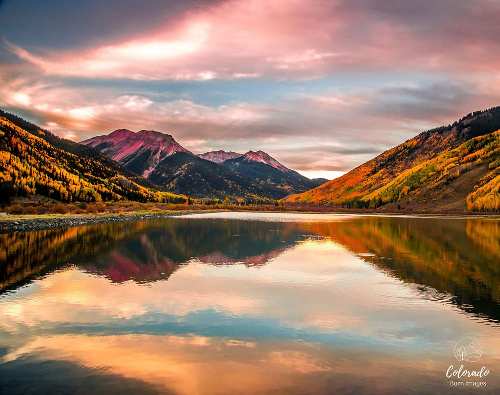 Photog Life Featured Photographers ~ 9/8/2020